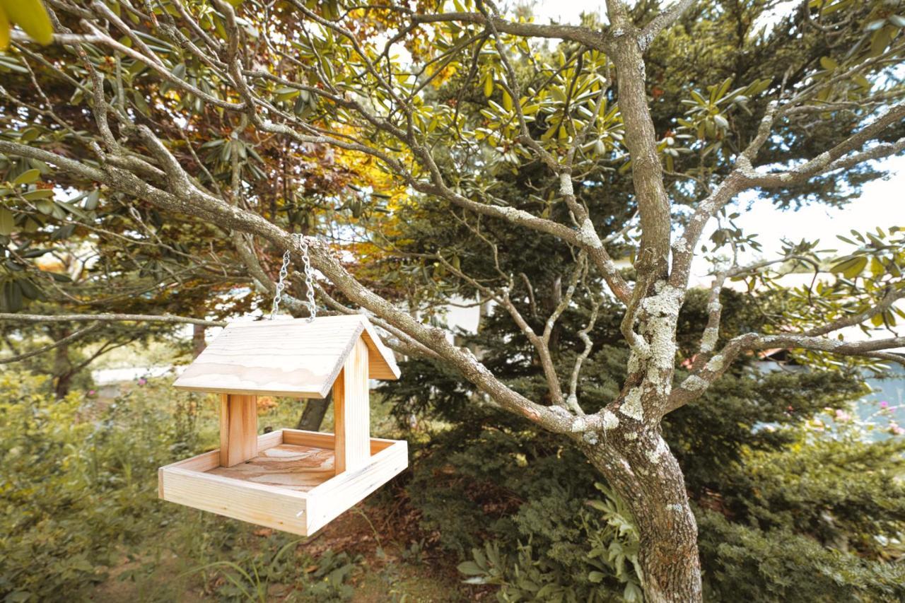 Maple Farm Βίλα Asahikawa Εξωτερικό φωτογραφία